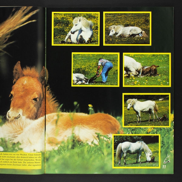 Pferde und Ponys Hobby Panini Sticker Album komplett