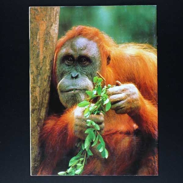 Wendy, Tiere die unseren Schutz brauchen Ehapa Album komplett