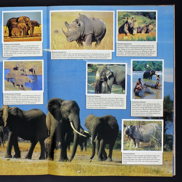 Wendy, Tiere die unseren Schutz brauchen Ehapa Album komplett