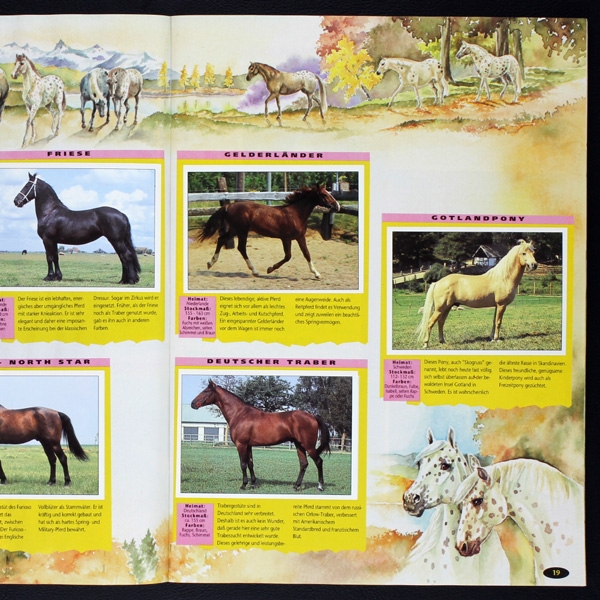 Pferde - Alles über deine Lieblinge Panini Sticker Album komplett