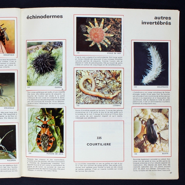 Le monde des Animaux 1970 Panini Sticker Album teilgefüllt - NL