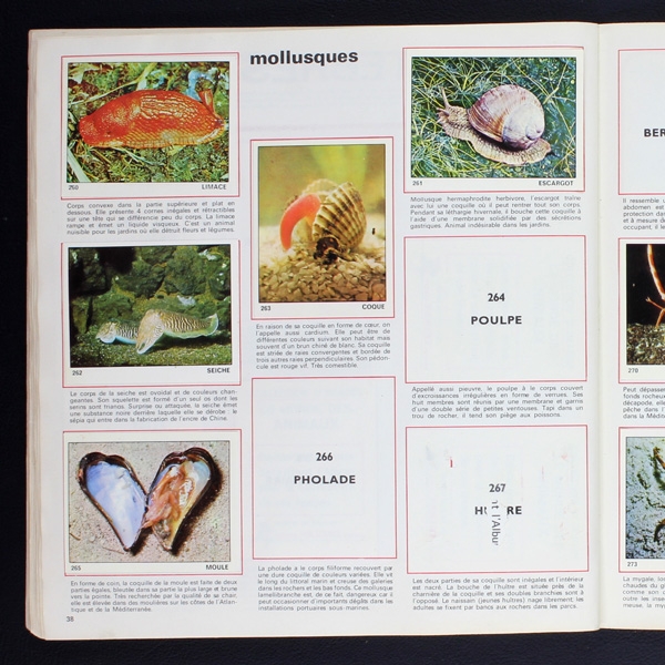 Le monde des Animaux 1970 Panini Sticker Album teilgefüllt - NL