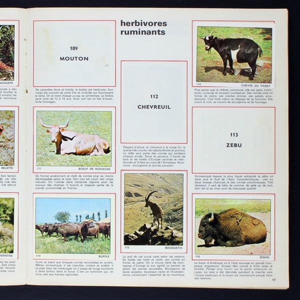 Le monde des Animaux 1970 Panini Sticker Album teilgefüllt - NL