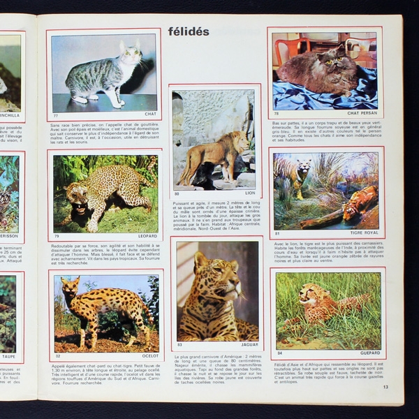 Le monde des Animaux 1970 Panini Sticker Album teilgefüllt - NL