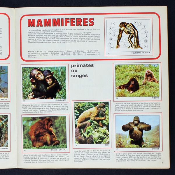Le monde des Animaux 1970 Panini Sticker Album teilgefüllt - NL