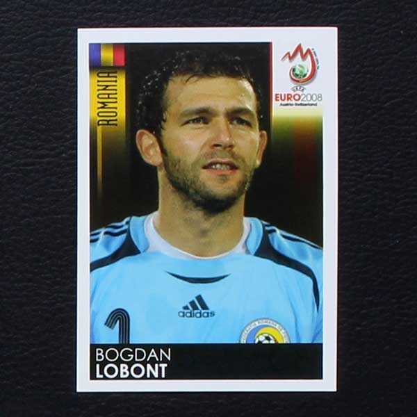 Euro 2008 No. 312 Panini sticker Lobont