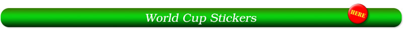 Panini world cup Sticker